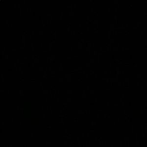 Meet your Posher, Caden